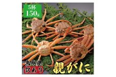 【活物】訳あり親ガニ(セコガニ) 150g　5杯