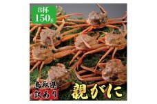 【活物】訳あり親ガニ(セコガニ) 150g　8杯