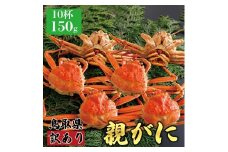 【ボイル】訳あり親ガニ(セコガニ) 150g　10杯
