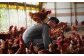 平飼い、天然飼料にこだわる“天美卵”