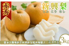 新興梨(赤秀) 3kg「Ys Farm Tottori」【梨 なし ナシ 果物 フルーツ ギフト 先行予約 甘い 果実 果汁 デザート もぎたて 旬】