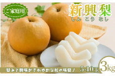 新興梨(家庭用) 3kg「Ys Farm Tottori」【梨 なし ナシ 果物 フルーツ ギフト 先行予約 甘い 果実 果汁 デザート もぎたて 旬】