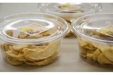 【先行予約】【 無添加 自家製 】ドライフルーツ 20世紀梨 20 g × 5 パック｜三朝温泉 ドライフルーツ 食品 加工食品 人気 おすすめ 鳥取県 三朝町