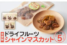 【先行予約】【 無添加 自家製 】ドライフルーツ シャインマスカット 25 g × 5 パック｜三朝温泉 ドライフルーツ 食品 加工食品 人気 おすすめ 鳥取県 三朝町