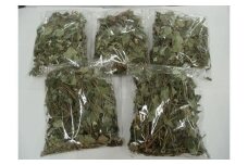 【 無添加 自家製 】乾燥　どくだみ茶 40g×5袋｜ドライ 乾燥 飲料 茶葉 ソフトドリンク 人気 おすすめ 鳥取県 三朝町