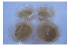 【 無添加 自家製 】しょうがパウダー 20g×4袋｜ドライ 乾燥 ショウガ しょうが 生姜 ジンジャー 人気 おすすめ 鳥取県 三朝町
