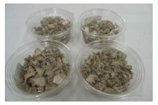 【 無添加 自家製 】乾燥しょうが 20g×4袋