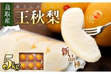 【先行予約】梨 王秋梨 鳥取産 5kg ( 5kg × 1箱 )