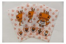 湯けむり怪獣ミササラドンエチケット用マスク入れ（クリアファイル型）