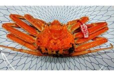 【先行予約】カニ 松葉ガニ ボイル カニ酢付き （ 2枚 ）