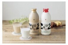 牛乳 乳飲料 鳥取県産生乳使用 「 大山おいしい贈り物 」特選大山おいしい牛乳 大山おいしいカフェオレ 2本 （900ml × 各1本）