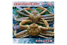 【先行予約】活きタグ付き松葉ガニ　大　２枚 １枚800～940ｇ前後MK1