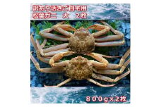 【先行予約】訳あり活きご自宅用　松葉ガニ　大　２枚　１枚800～940ｇ前後MK3