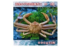 【先行予約】活きタグ付き松葉ガニ　大　１枚　800～940ｇ前後MK5