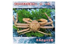 【先行予約】訳あり活きご自宅用松葉ガニ　大　１枚　800～940ｇ前後MK11