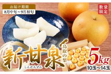 梨 新甘泉梨 5kg ( 5kg × 1箱 )