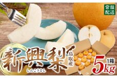 【先行予約】梨 新興梨 鳥取産 5kg× 1箱