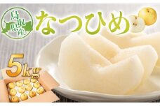 梨 なつひめ 鳥取産 5kg× 1箱