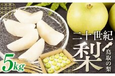【先行予約】梨 二十世紀梨 鳥取産 5kg× 1箱