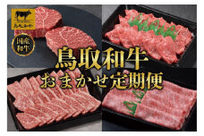 鳥取和牛 おまかせ 定期便 12か月  TB5