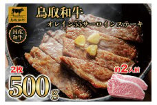 鳥取和牛オレイン55　サーロインステーキ　2枚（500g）1288