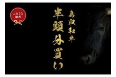【和牛セレブ】鳥取和牛半頭分のセレブ体験（24分割納品）