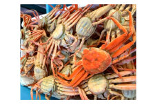 【先行予約】【魚倉】ボイルお任せセコガニ1kgセット