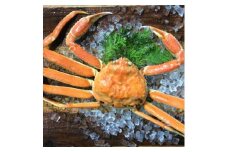 【先行予約】【魚倉】足１本なしボイル松葉ガニ(並５００ｇ)訳あり