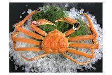 【先行予約】【魚倉】五輝星ボイル松葉ガニ(特々大1.2kg)数量限定品