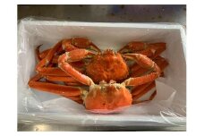 【先行予約】【魚倉】訳ありボイル松葉ガニ２枚セット