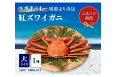 【先行予約 10月～11月発送】【蟹セレブ】ズワイガニ（紅ズワイガニ）大1杯（500～600g×1）