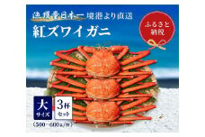 【先行予約 10月～11月発送】【蟹セレブ】ズワイガニ（紅ズワイガニ）大3杯セット（500～600g×3）