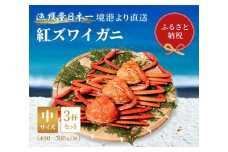 【先行予約 10月～11月発送】【蟹セレブ】ズワイガニ（紅ズワイガニ）中3杯セット（400～500g×3）