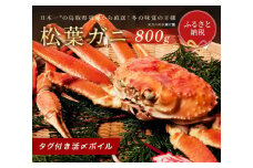 【先行予約 11月発送】【蟹セレブ】タグ付き活〆ボイル・松葉がに（大・800ｇ前後）