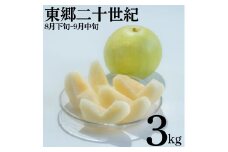 6K.東郷二十世紀3kg