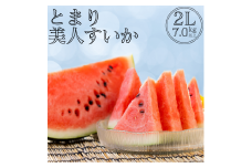 19K.とまり美人西瓜 2L