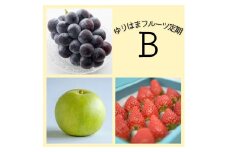 38K.ゆりはまフルーツ定期B