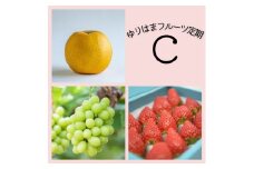 39K.ゆりはまフルーツ定期C