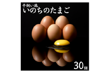 135K.平飼い鶏の『いのちのたまご』30個