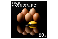 136K.平飼い鶏の『いのちのたまご』60個