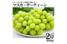 313K.■小林農園■マスカ・サーティーン2房(約1kg)