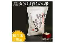 319K.ゆりはま育ちのお米◇精白米10kg◇令和7年産