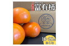 26K.富有柿16～20玉〔ご家庭用〕