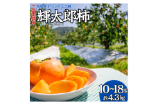 25K.輝太郎柿10～18玉〔ご家庭用〕