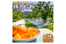 24K.輝太郎柿7～9玉