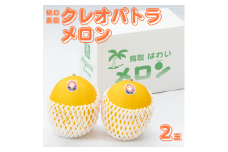 22K.樋口農園のクレオパトラメロン 2玉