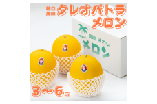 21K.樋口農園のクレオパトラメロン 3～6玉