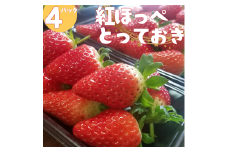 33K.ハワイいちご