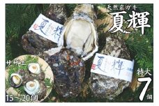 49K.◇夏輝ブランド◇天然岩ガキ〔特大〕･サザエセット〔大〕