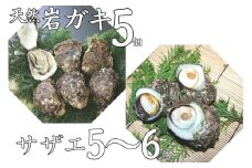 51K.天然岩ガキ･サザエセット